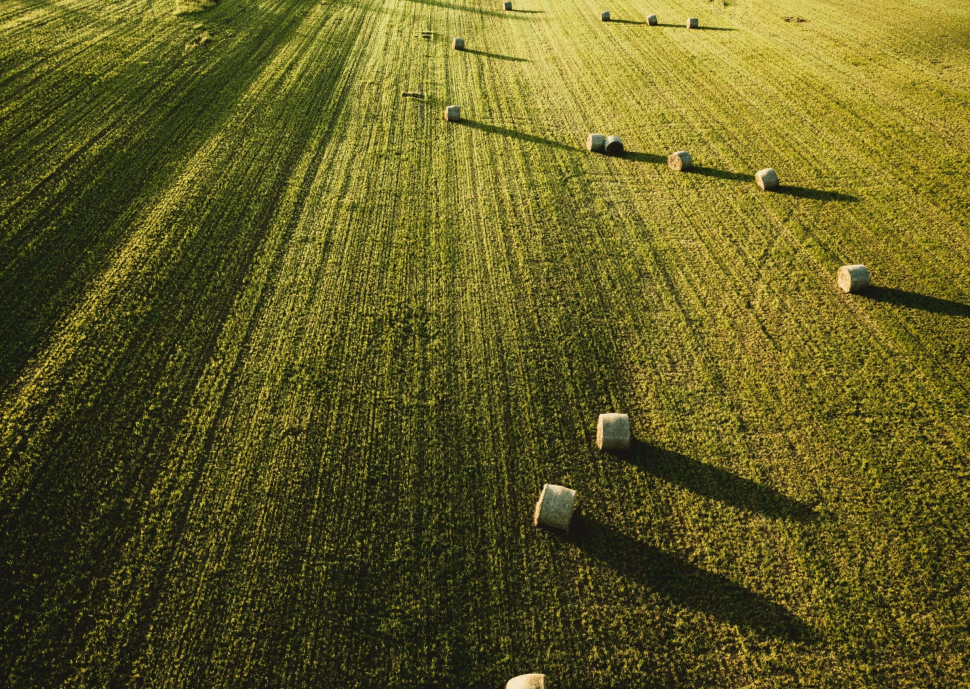 A large beautiful agricultural field with stacks of hay shot from above
